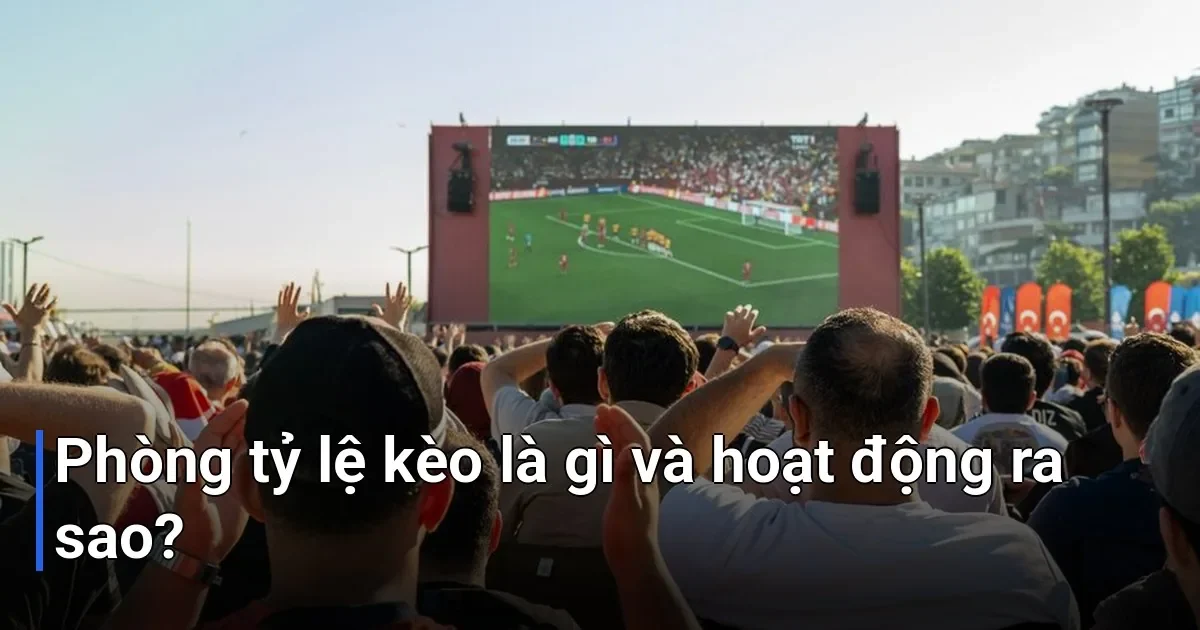 hiểu nhà cái tính kèo như thếnào, trước tiên bạn cần biết về "phòng tỷ lệ kèo" - nơi sinh ra mọi con số cá cược - nhà cái